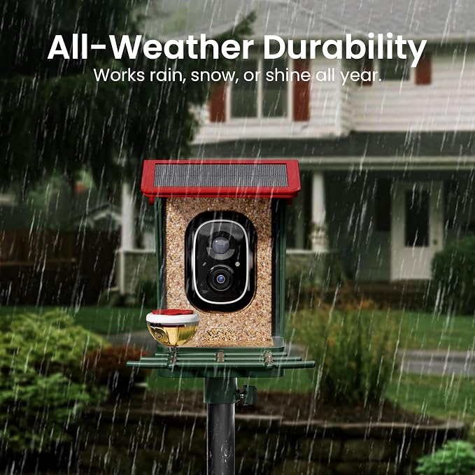 Smart Bird Feeder with Camera Solar Powered, 2K HD Video, AI Bird Species - Image 8