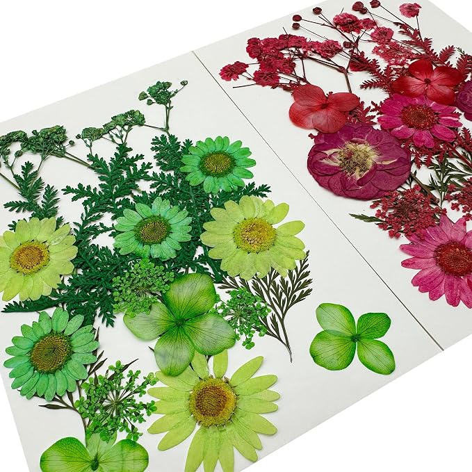 Woohome Natural Dried Pressed Flowers Leaves - Image 2