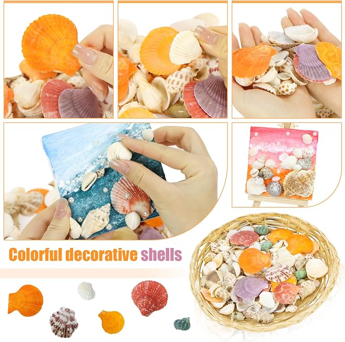 WEOXPR Mixed Sea Shells, 100+ Pcs Beach Seashells Starfish, Various Sizes Ocean - Image 2