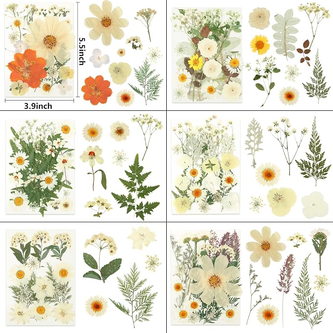 NESCCI 247 Pcs Dried Flowers for Crafts, Real Natural Dried Pressed Flowers in - Image 2