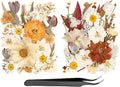 50pcs Boho Pressed Flowers Bulk, Vintage Dried Flower Leaves, Natural Fall by LGFMGWH