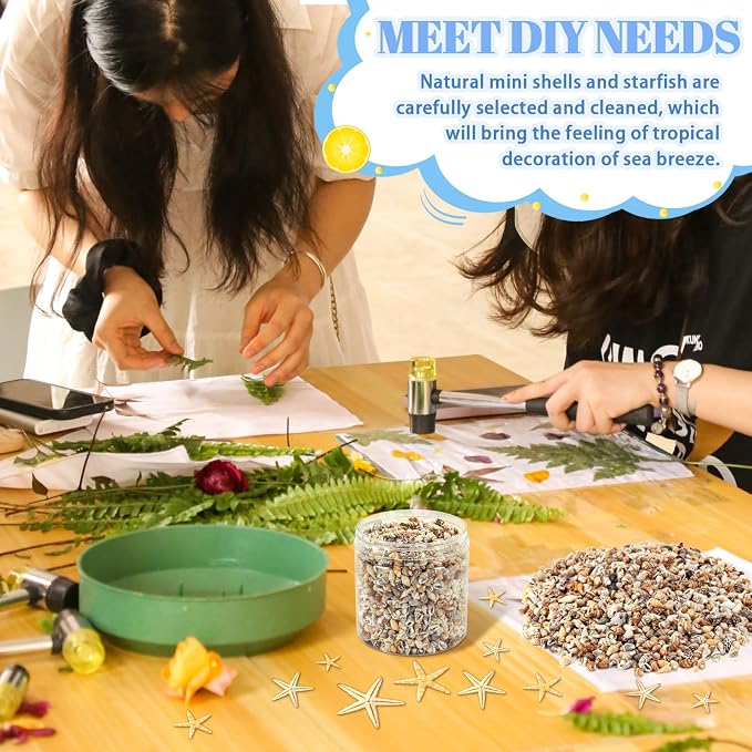 WEOXPR 2000 Pcs Tiny Sea Shells & Starfish - Image 5