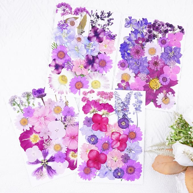 110Pcs Purple Dried Pressed Flowers - Image 4
