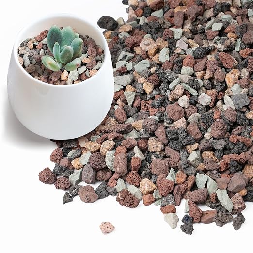 2.5lbs Mix Horticultural Lava Rock by OutdoorD%C3%A9cor