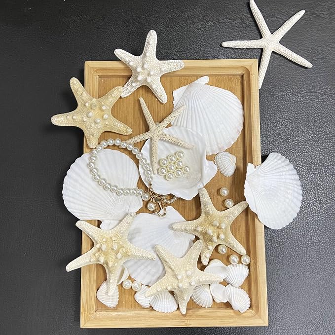 JQAQJU 16PCS Starfish and Scallop Shells - Image 3