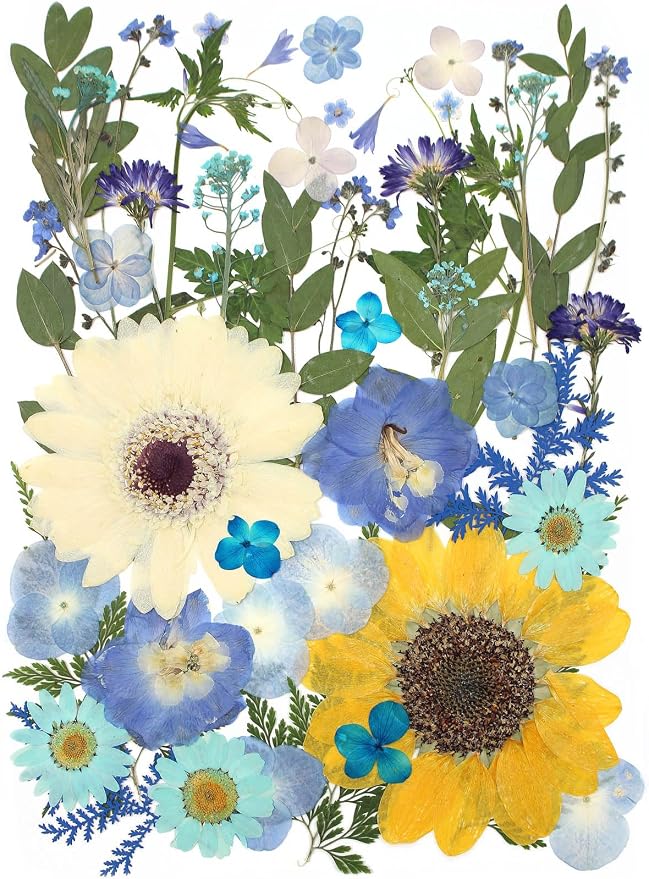 12“ Large Bulk Summer Dried Pressed Flowers by ZMRU