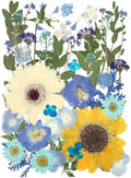 12“ Large Bulk Summer Dried Pressed Flowers by ZMRU