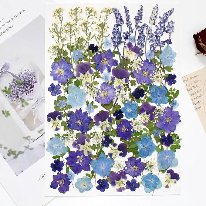100 PCS Real Dried Pressed Flowers Leaves Natural Plant Herbarium - Image 2