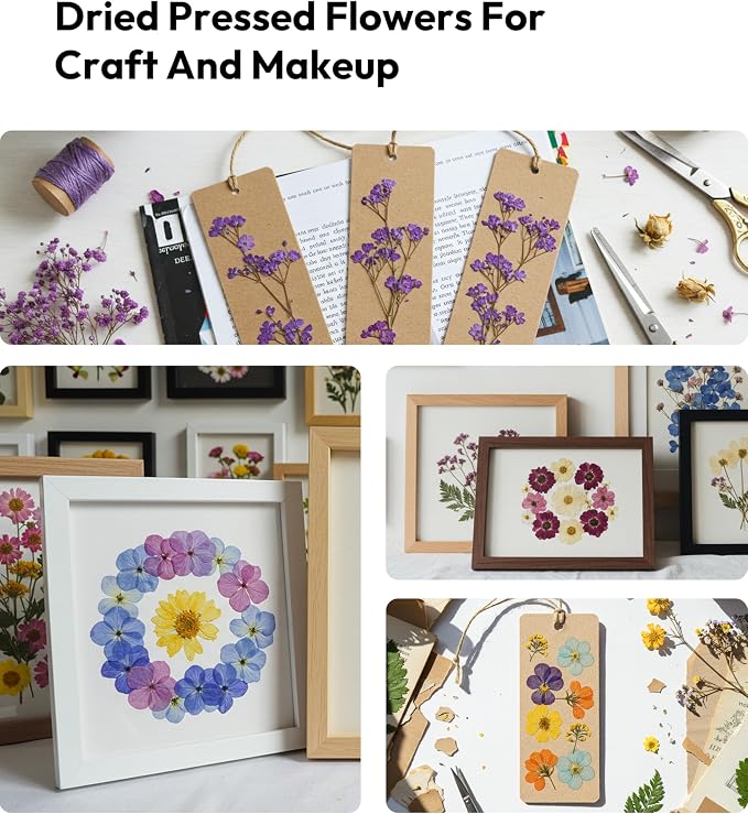 Dried Flowers, Resiners 100Pcs Pressed Flowers - Image 8