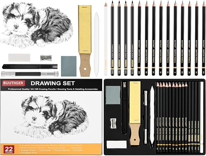 Charcoal & Graphite Drawing Pencils, 6H-10B Sketch Set, 22 Pack | Graphite by BUUTIIGER