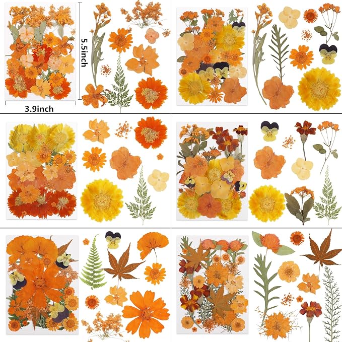 NESCCI 350 Pcs Orange Fall Dried Flowers - Image 2