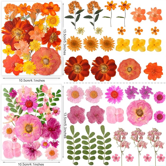 269PCS Dried Pressed Flowers for Resin Craft - Image 4