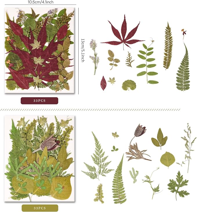 100 PCS Real Pressed Dried Leaves - Image 5