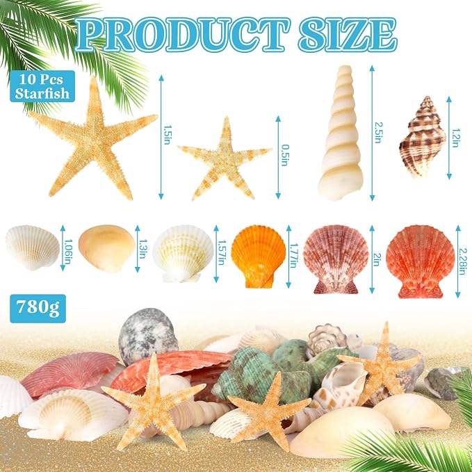 WEOXPR Mixed Sea Shells, 300+ Pcs Beach Seashells Starfish, Various Sizes Ocean - Image 2