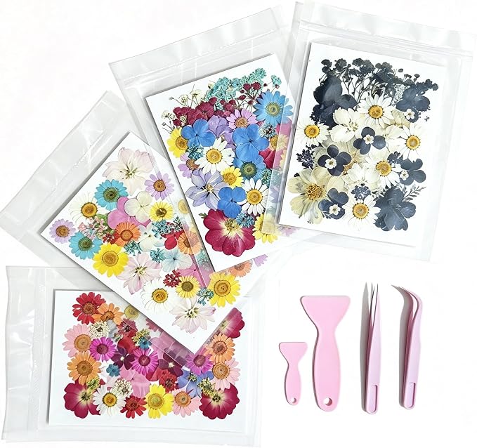 Tessera 160+ Pcs Real Pressed Flowers by Unknown