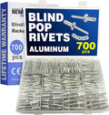 New Age America® 700pcs Blind Pop Rivets & Backup Washers | 3/32" to 1/4" | Silver | 14 Sizes | SAE Size Aluminum Rivets & 304 Stainless Steel Backup Washer | Rivet Kit w Steel Mandrel | Labelled Case