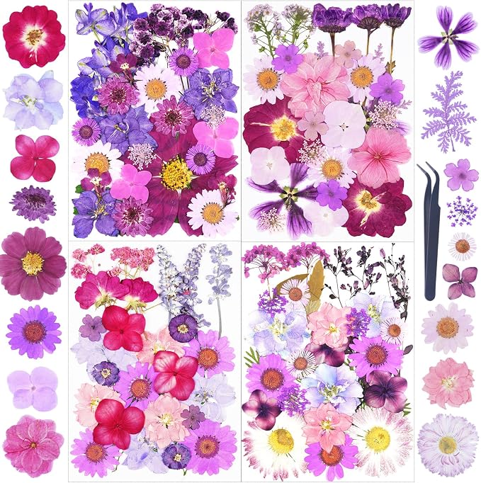 110Pcs Purple Dried Pressed Flowers by Unknown