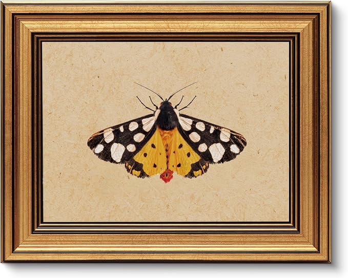 VIYYIEA Vintage Gold Framed Wall Art by VIYYIEAART