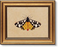 VIYYIEA Vintage Gold Framed Wall Art by VIYYIEAART