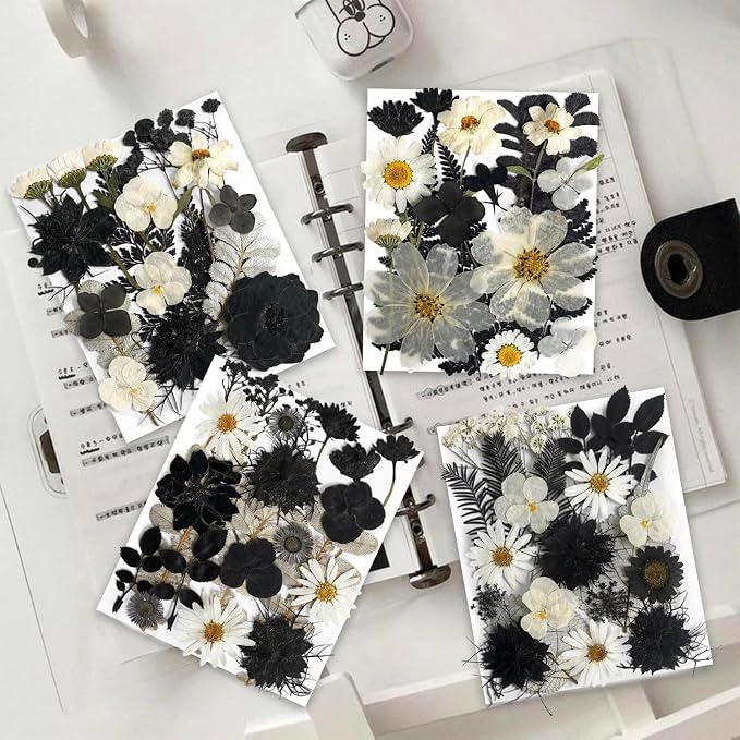 131PCS Black White Dried Pressed Flowers - Image 2