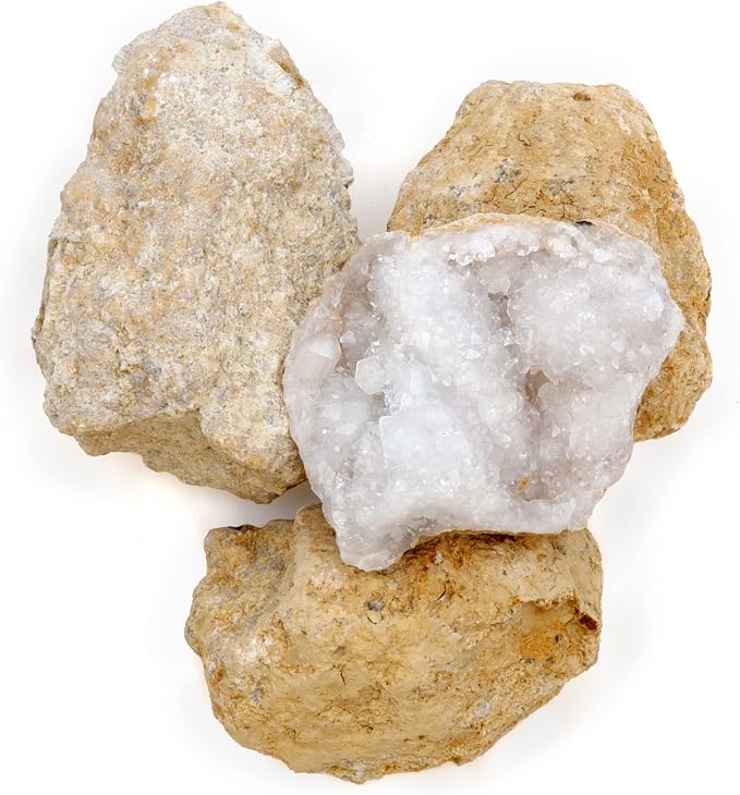 DANCING BEAR 25 Break Your Own Geodes, 90% Hollow, Crack Open & Discover - Image 6