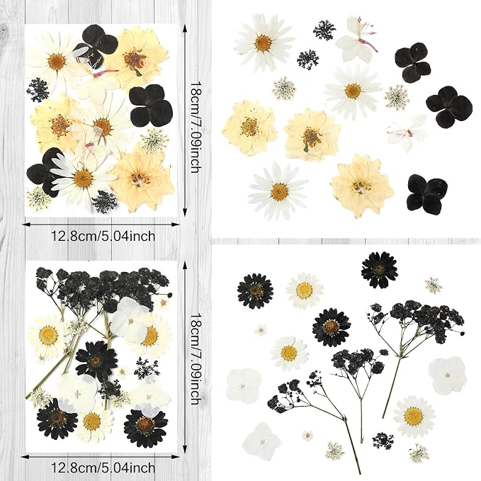 Nuanchu Black Dried Pressed Flowers - Image 3