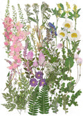 Large Dried Pressed Flowers for Art Crafts, Real Dry Natural Flower Leaf Fruit by ZMRU