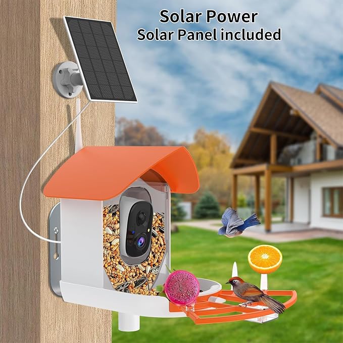 Bird Feeder with Camera, AI Identify Birds Species, Smart Birds Camera with - Image 3