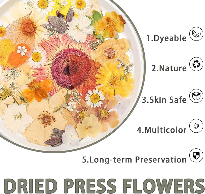 Dried Pressed Flowers Real Pressed Flowers Natural Dry Leaves Bulk Mixed - Image 3