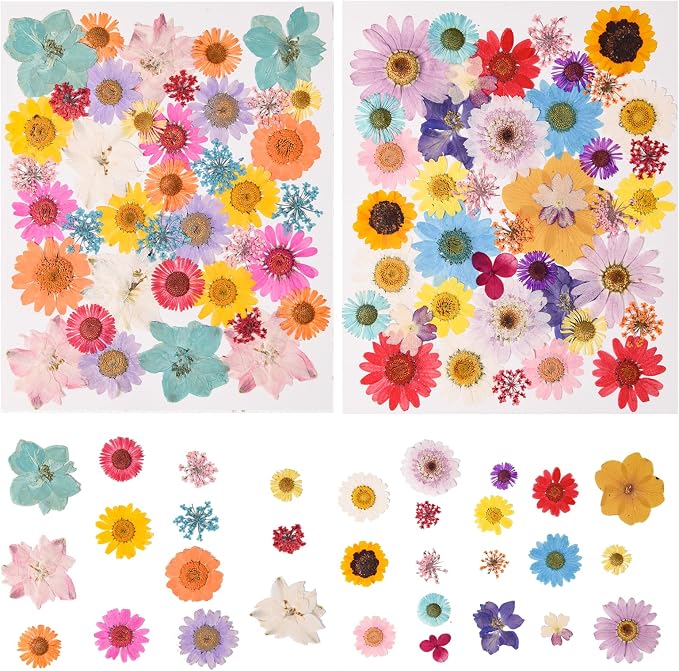 80PCS Multicolor Pressed Dried Flowers Dry Leaves | by nisetten