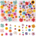 80PCS Multicolor Pressed Dried Flowers Dry Leaves | by nisetten