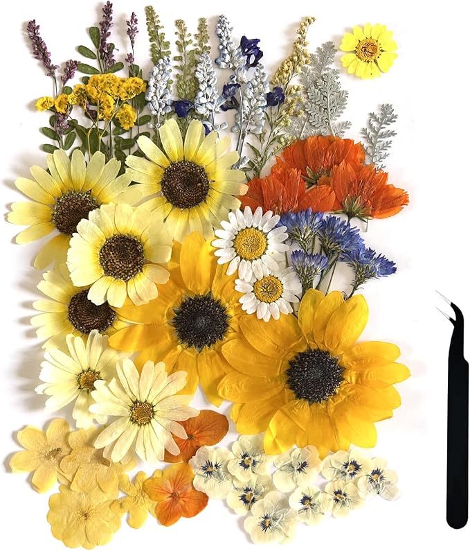 A4 Large Dried Pressed Flowers for Resin by ZQmino