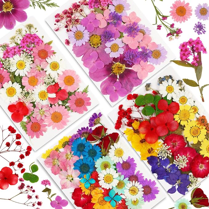 Augshy 141Pcs Dried Pressed Flowers by Augshy