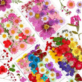Augshy 141Pcs Dried Pressed Flowers by Augshy