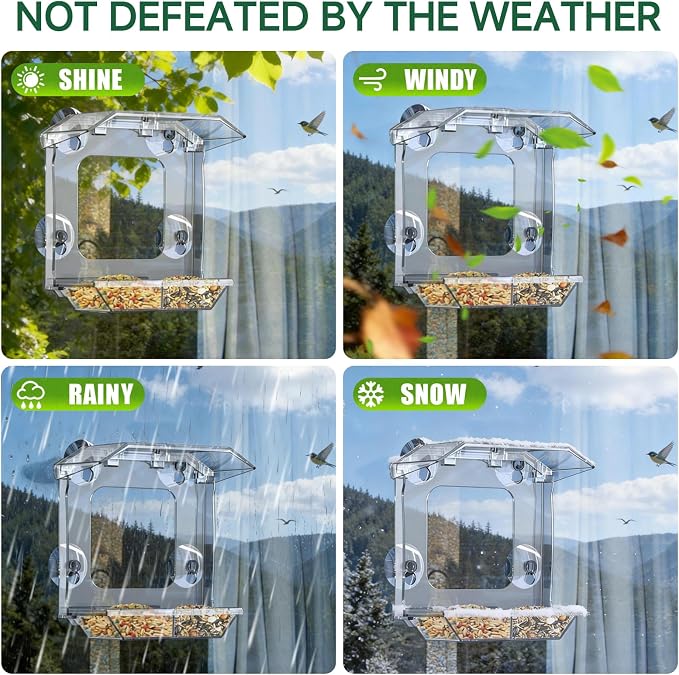 Window Bird Feeder with 4 Extra Strong Suction Cups | Clear Bird Feeder with - Image 8