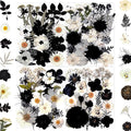 MIKIYA 90Pcs Black Pressed Dried Flowers by MIKIYA