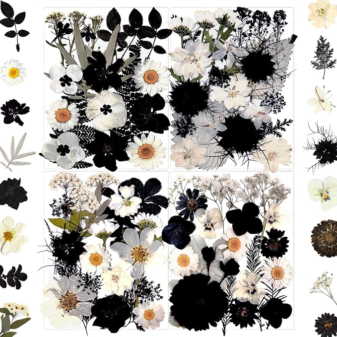 MIKIYA 90Pcs Black Pressed Dried Flowers by MIKIYA