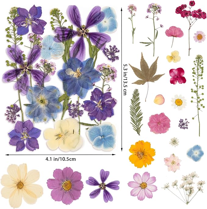 80PCS Spring Large Pressed Flowers Leaves, Real Nature Dry Flowers - Image 2