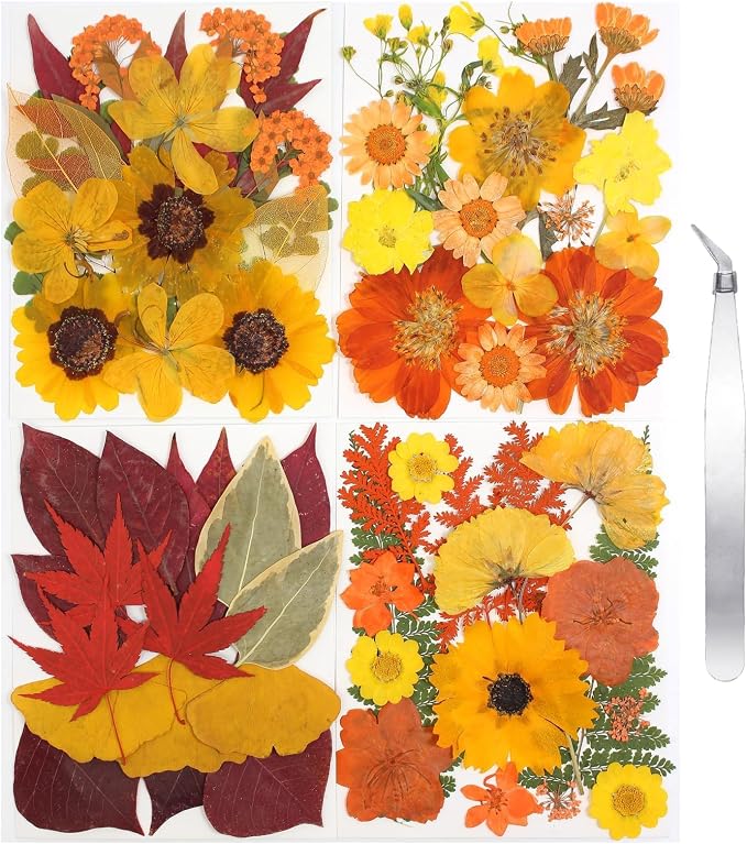 Dried Flowers | 68Pcs Fall Pressed Flower by CONVELIFE