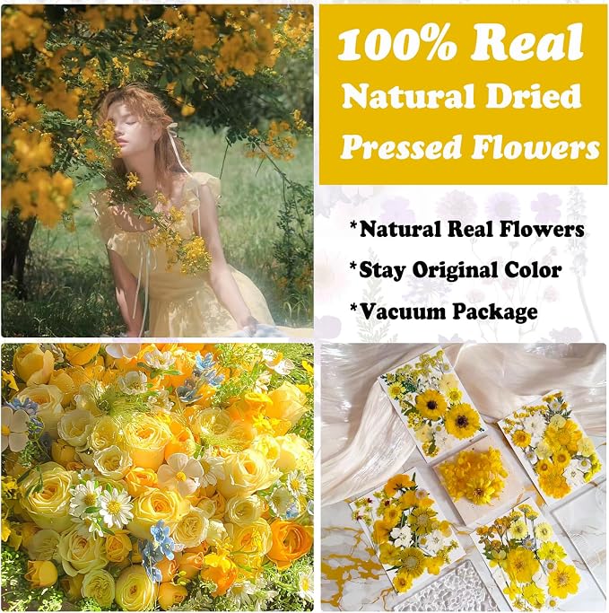 132Pcs Yellow Pressed Dried Flowers and Butterfly - Image 2
