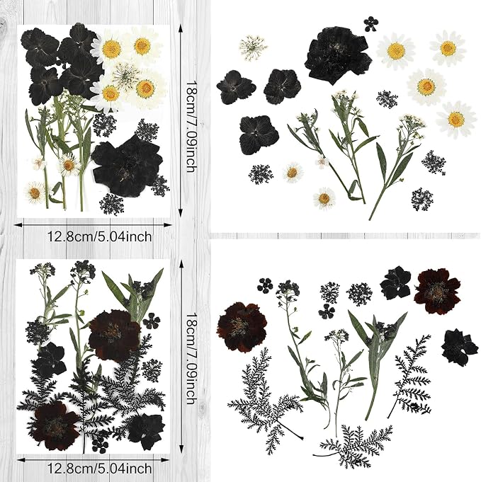 Nuanchu Black Dried Pressed Flowers - Image 4