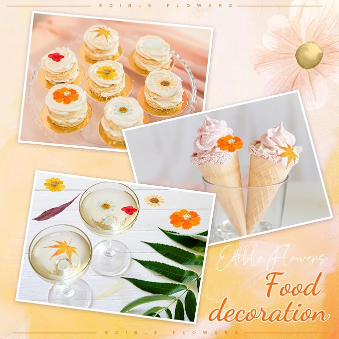 96 Pcs Natural Dried Pressed Flowers - Image 4