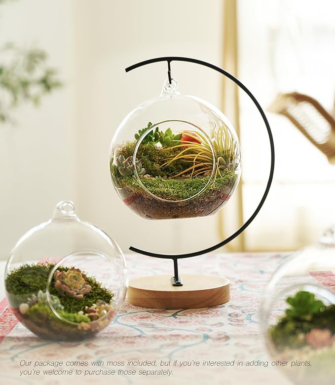 LUCKYRUNES DIY Terrarium Kit - Image 4