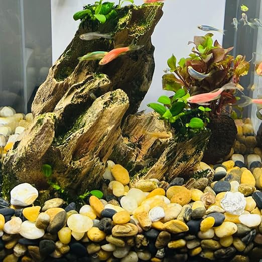 10LB Decorative River Rocks Gravel -2/5/'' Mixed Color Gravel - Image 4