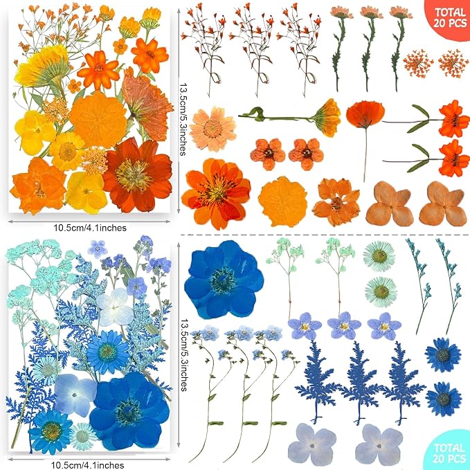 301Pcs Multi-Style Dried Pressed Flowers & Leaves - Image 6