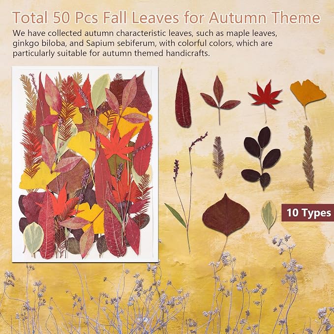 Large Bulk Fall Dried Pressed Leaves - Image 5