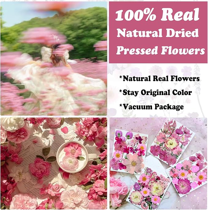 132Pcs Pink Pressed Dried Flowers and Butterfly - Image 2