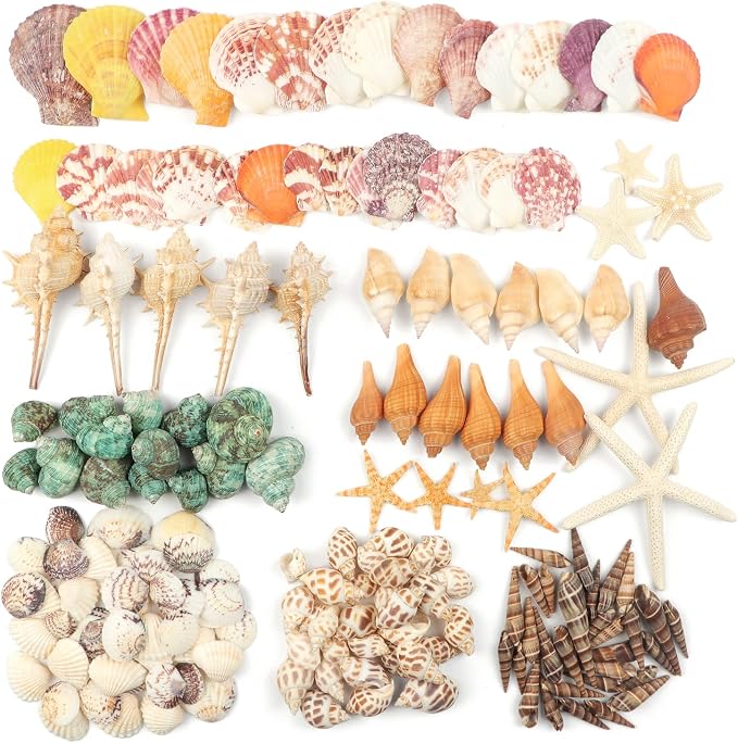 Fangoo 1.5 LB Mixed Sea Shells, 130+ PCS Beach Seashells Starfish Oyster Shells - Image 3