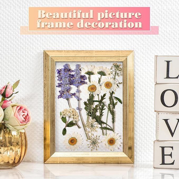EBOOT 72 Pcs Dried Pressed Flowers - Image 6