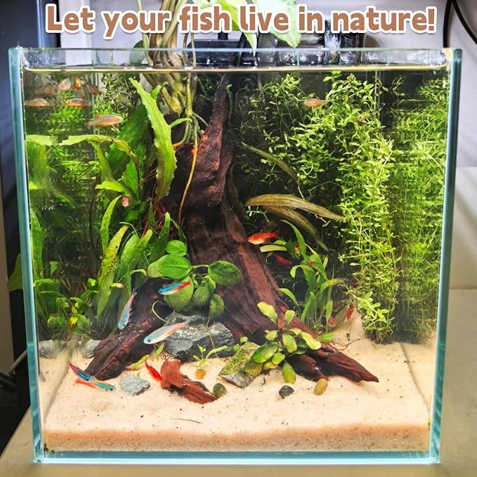 PINVNBY Natural Driftwood for Aquarium Decor Fish Tank Decorations Reptile - Image 8